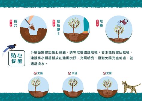 怎麼種樹|別小瞧！如何正確的種樹你知道嗎？種樹技巧大公開